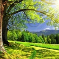 Spring warmth of the sun-Scenery HD desktop wallpaper 1920x1200